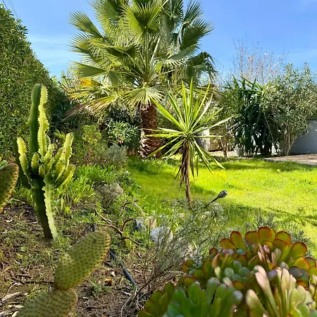 Rare Grand Standing Terrasse Et Jardin - Proche * Porticcio (Corsica)