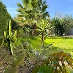 Rare Grand Standing Terrasse Et Jardin - Proche * Porticcio (Corsica)