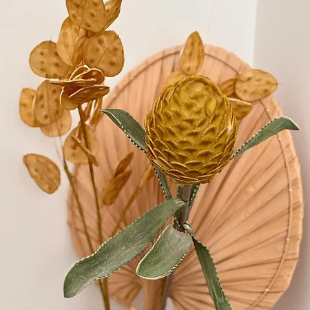 Rare Grand Standing Terrasse Et Jardin - Proche