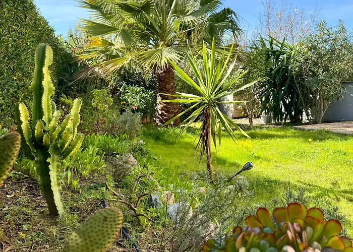 Rare Grand Standing Terrasse Et Jardin - Proche * Porticcio (Corsica)